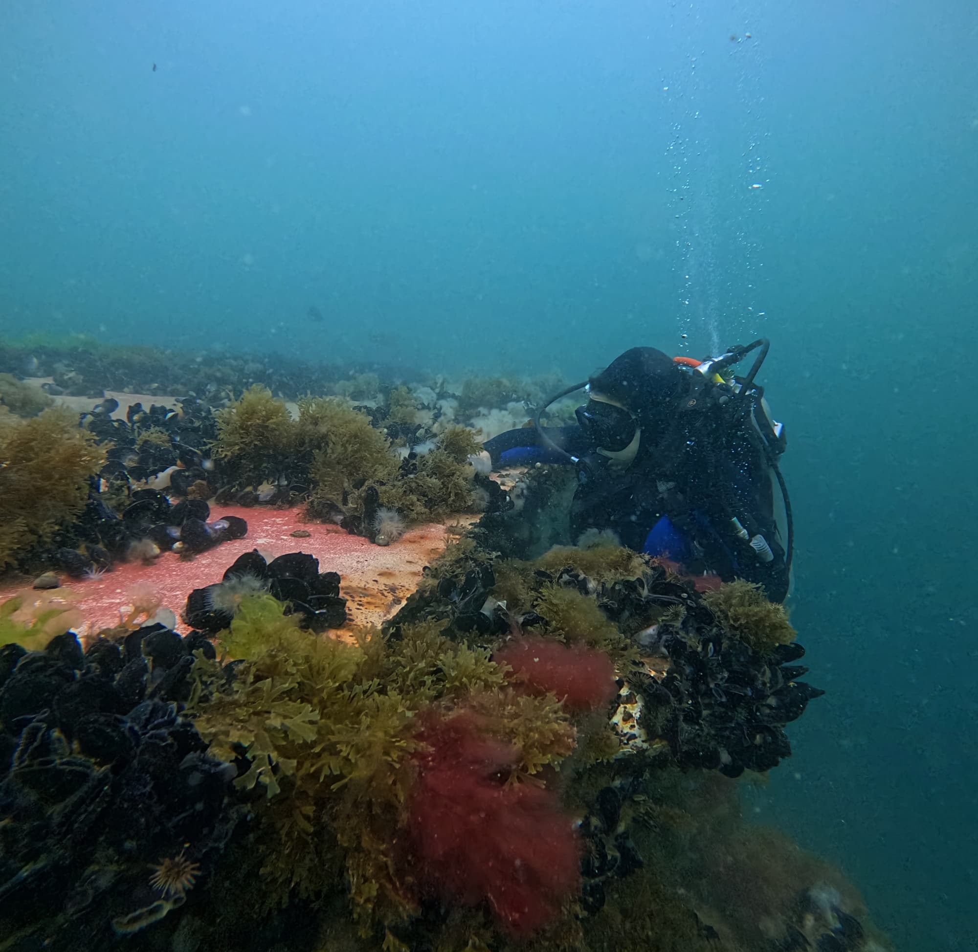 Advanced Open Water
