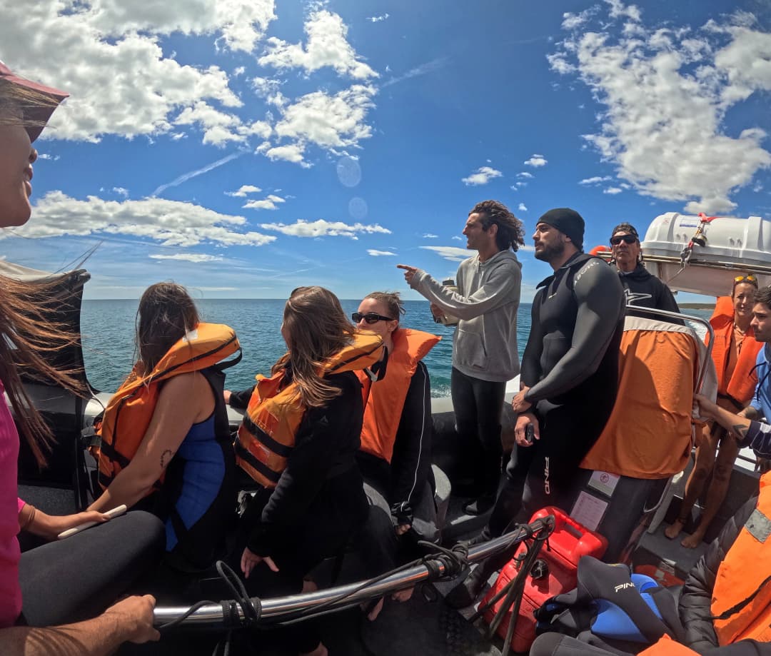 excursions.delfines.title - Imagen 3