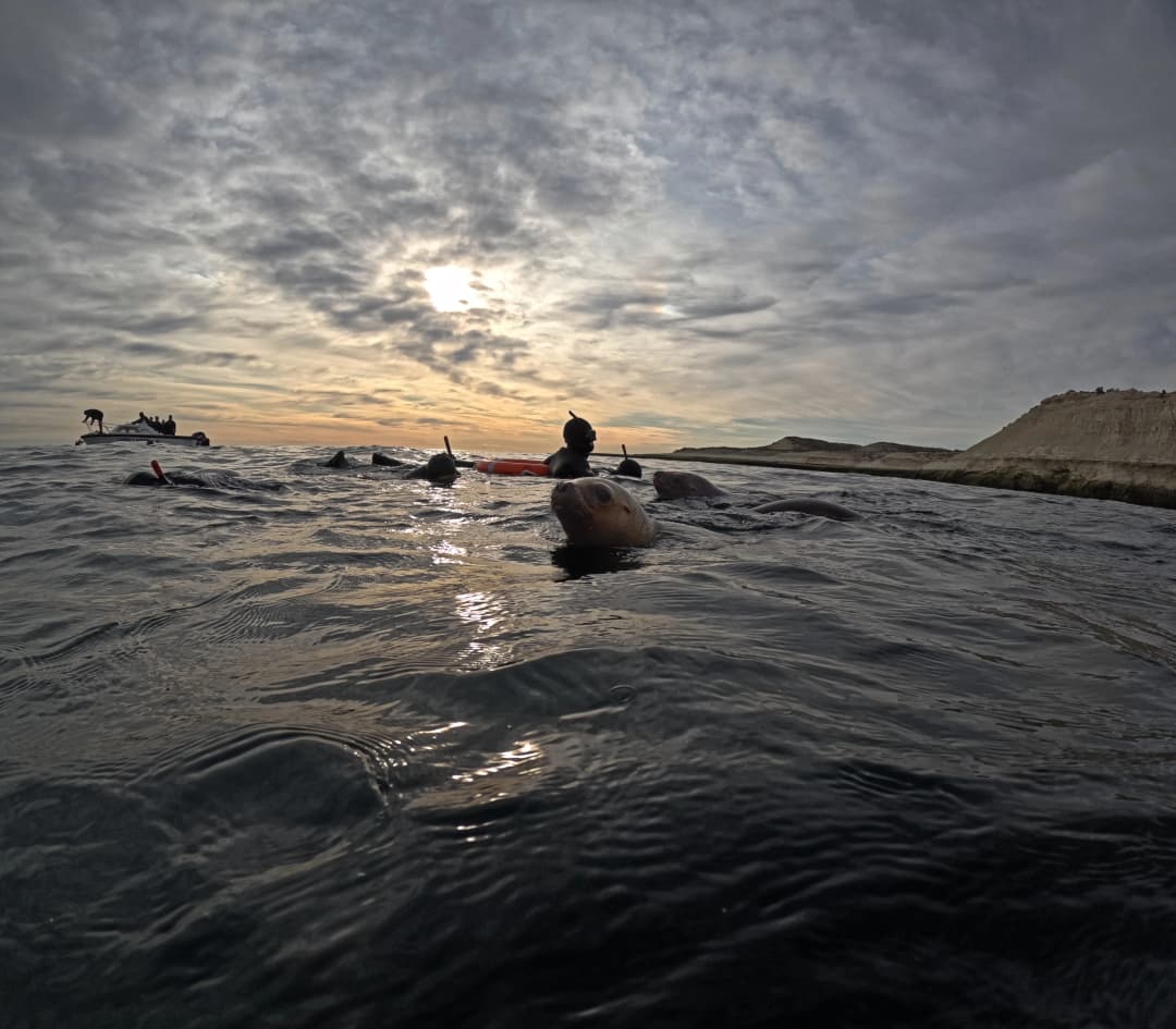 excursions.salidas.title - Imagen 2