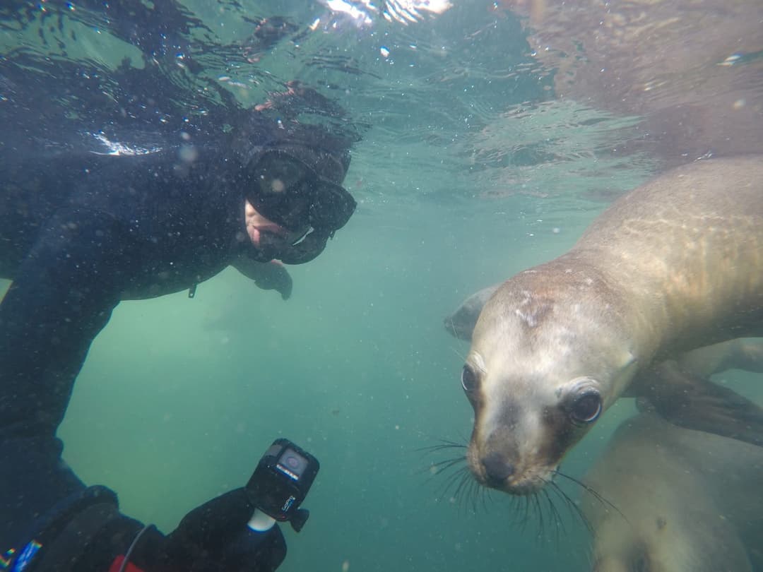 excursions.snorkeling.title - Imagen 4