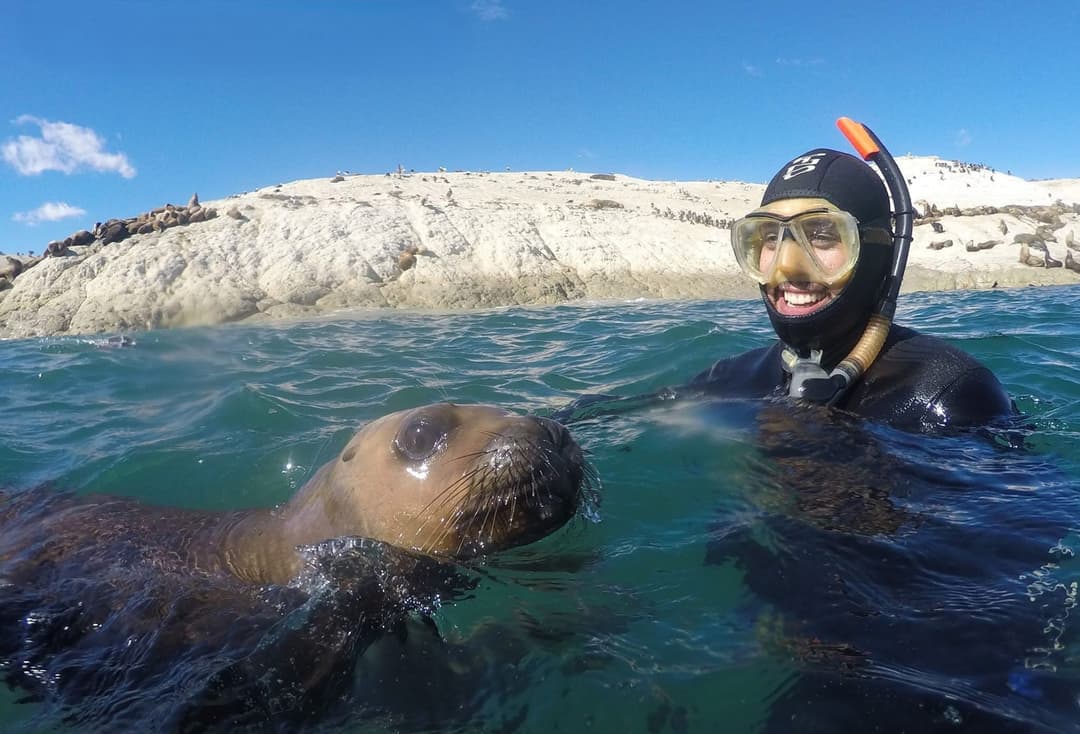 excursions.snorkeling.title - Imagen destacada